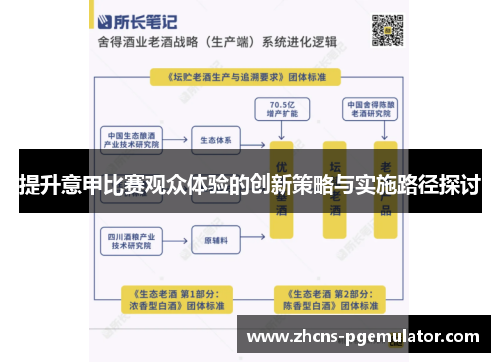 提升意甲比赛观众体验的创新策略与实施路径探讨