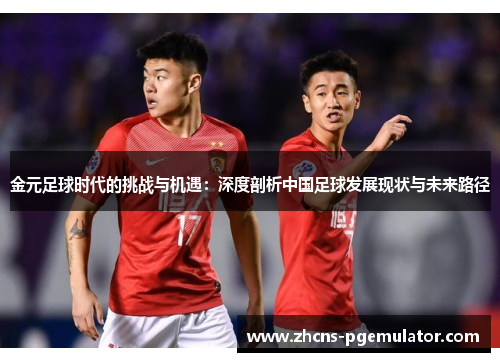 金元足球时代的挑战与机遇：深度剖析中国足球发展现状与未来路径
