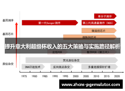 提升意大利超级杯收入的五大策略与实施路径解析