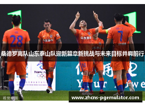 桑德罗离队山东泰山队迎新篇章新挑战与未来目标并肩前行