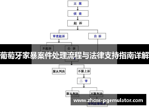 葡萄牙家暴案件处理流程与法律支持指南详解
