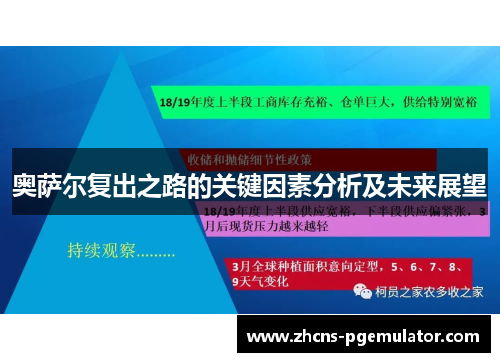 奥萨尔复出之路的关键因素分析及未来展望