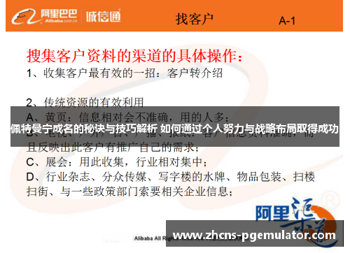 佩特曼宁成名的秘诀与技巧解析 如何通过个人努力与战略布局取得成功