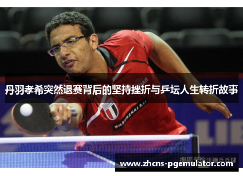 丹羽孝希突然退赛背后的坚持挫折与乒坛人生转折故事