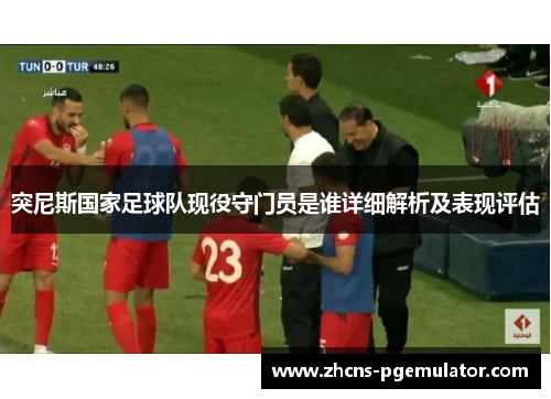 突尼斯国家足球队现役守门员是谁详细解析及表现评估