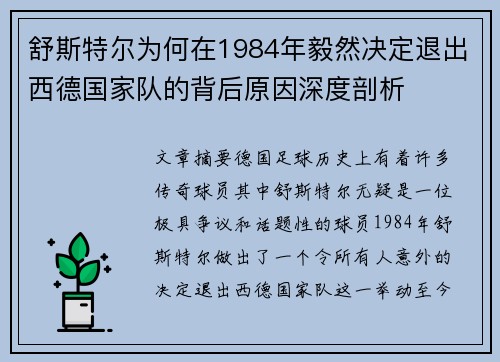 舒斯特尔为何在1984年毅然决定退出西德国家队的背后原因深度剖析 舒斯特尔为何在1984年毅然决定退出西德国家队的背后原因深度剖析