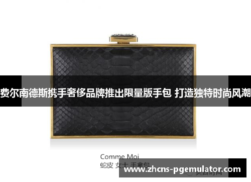 费尔南德斯携手奢侈品牌推出限量版手包 打造独特时尚风潮